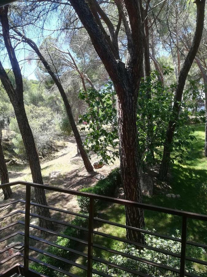 Appartement El Mirador De Bacha à San Martín de Valdeiglesias Extérieur photo
